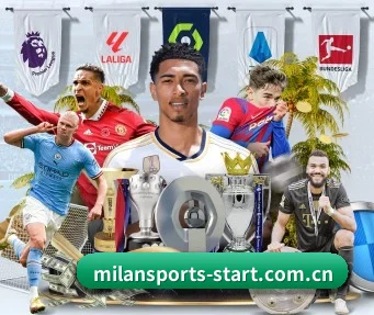 米兰体育登录入口 APP - MilanSports